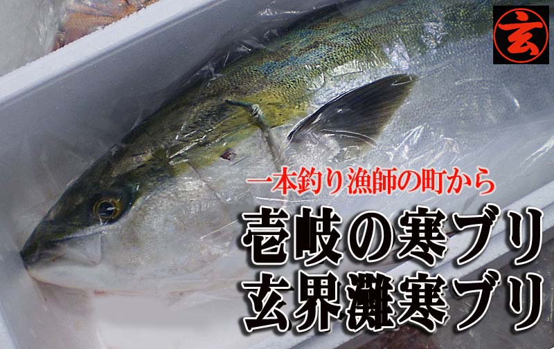 激安寒ブリ通販 5キロ６キロ 年末年始以外の寒ぶり