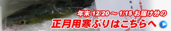 正月用寒ブリ販売ページへ