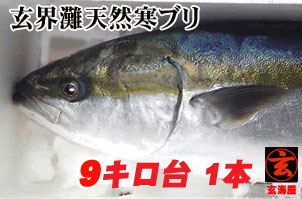 寒ブリ通販 4キロ 年末 正月用特売 壱岐島玄海屋