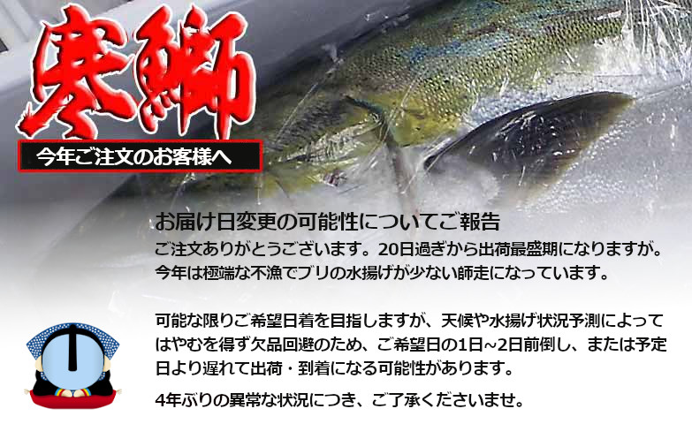寒ブリ、5キロ、通販