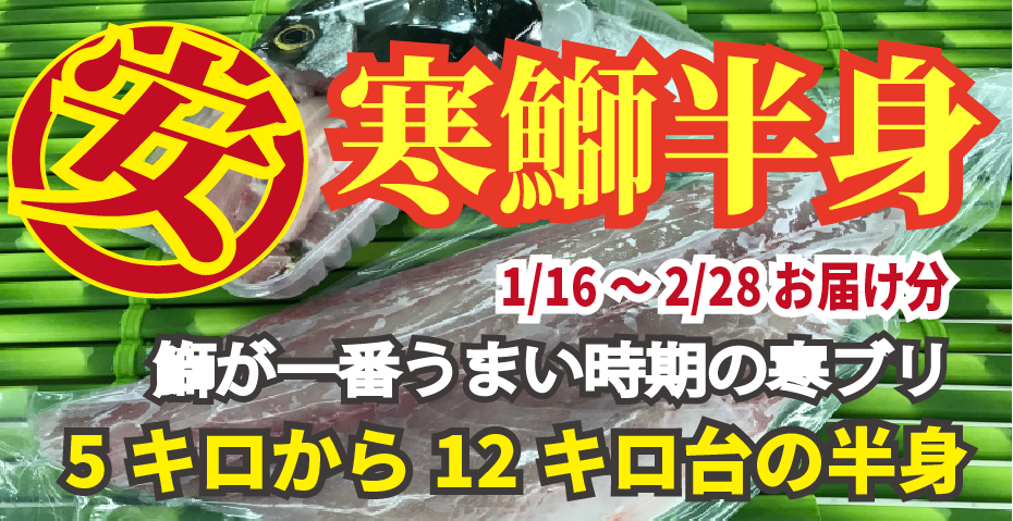 寒ブリ、5キロ、通販